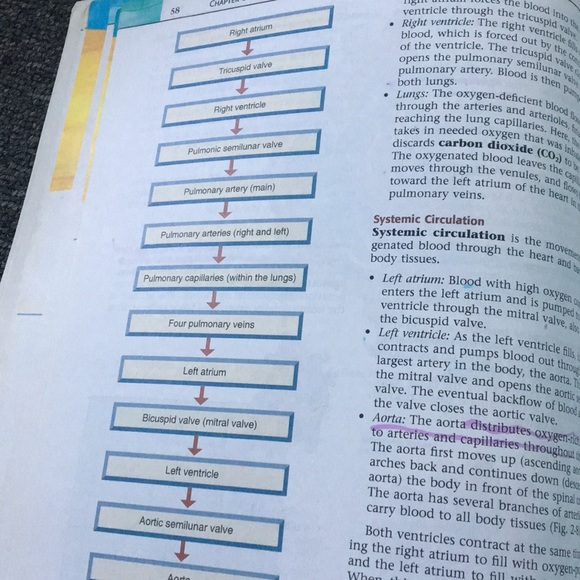 Medical books - Picture 2 of 3